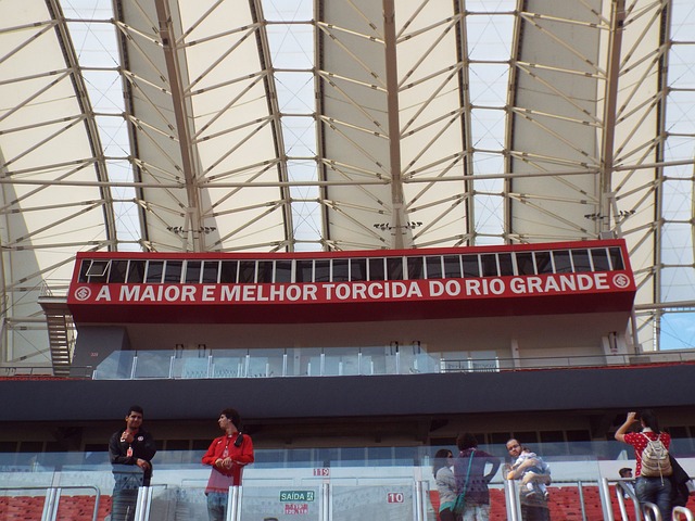 战胜狼队 战胜狼队