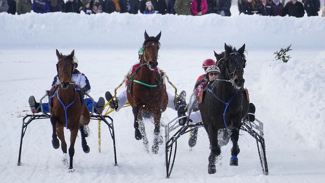 府近年加大 府近年加大