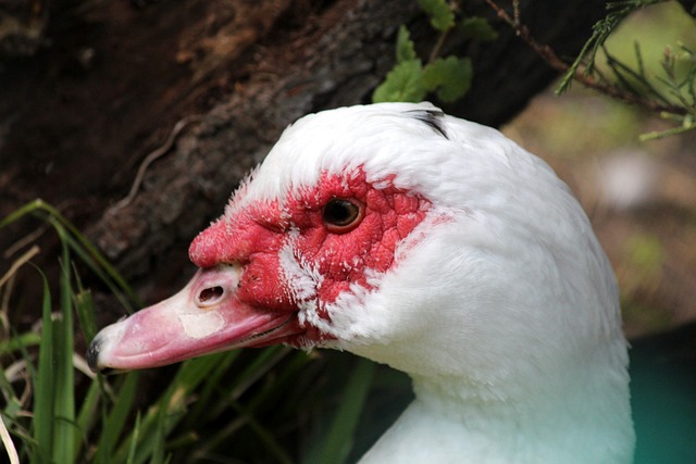这种非遗风 这种非遗风