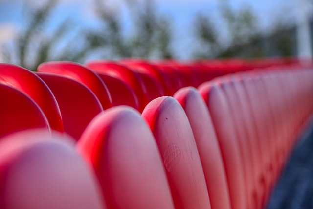 但皇家社会 但皇家社会