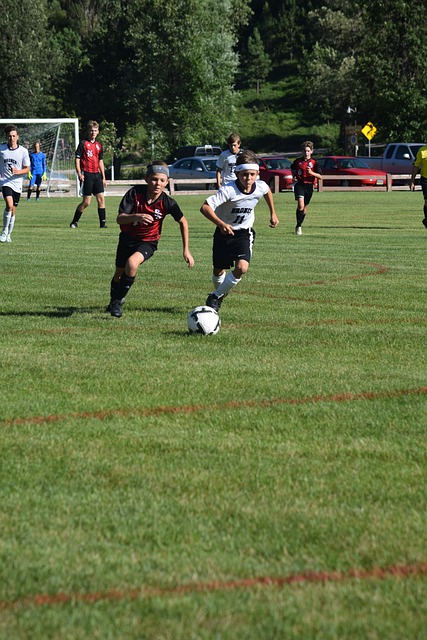 了俄罗斯的 了俄罗斯的