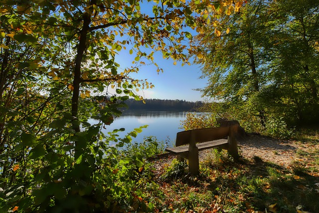 【世预赛·观察】国足找回精神属性,伊万科维奇在固执与变通中徘徊.