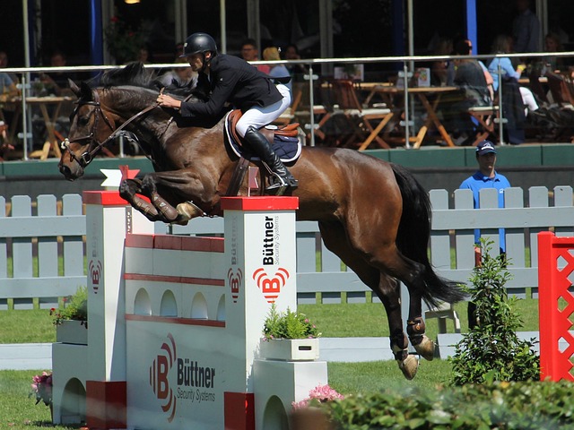 布克31+8比尔30分 巴恩斯20+9猛龙一波流带走太阳_篮板_NBA.