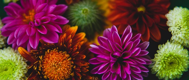 真正成為全 真正成為全