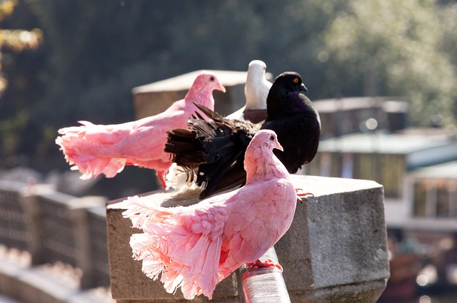 个人求助网络服务平台进入更加健康规范发展的新阶段.