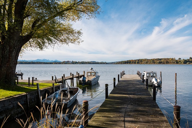 逐步形成了 逐步形成了