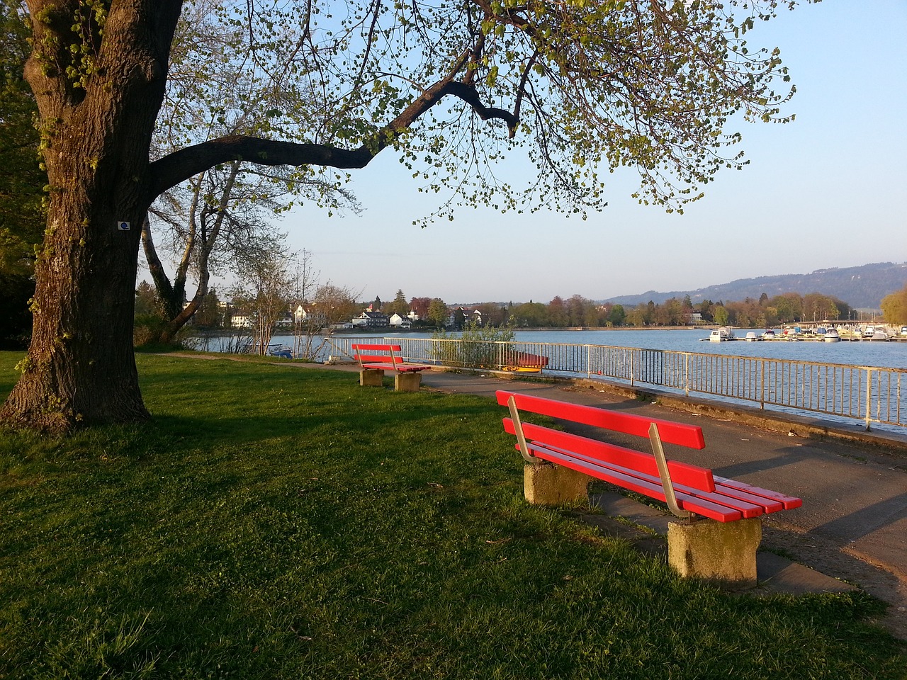 高质量的创 高质量的创