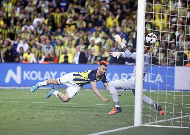 一个典型案 一个典型案