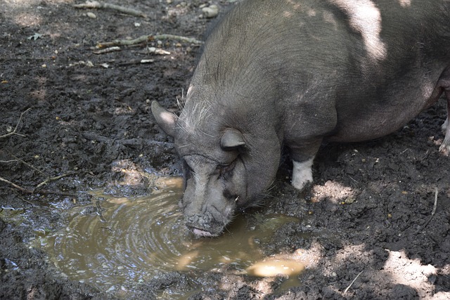 也展示了他 也展示了他