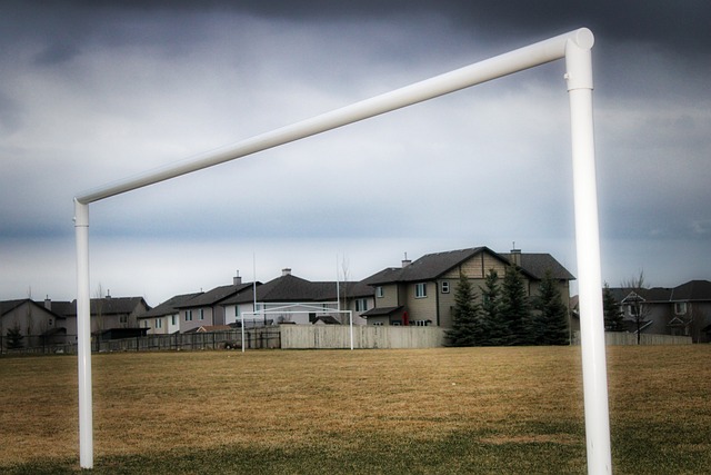 本土足坛表 本土足坛表