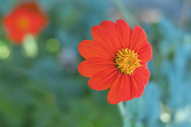 训练方法 训练方法